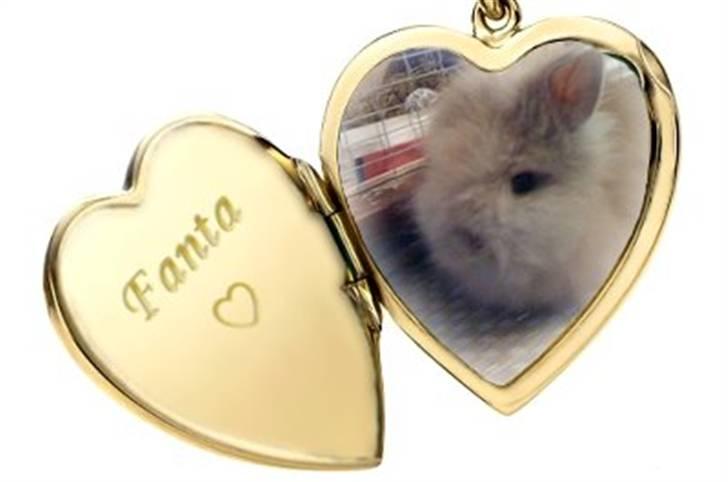 Hjerte billeder til andre ! :D - Fanta til Stald cocio billede 21