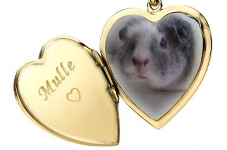 Hjerte billeder til andre ! :D - Mulle til stald cocio billede 23