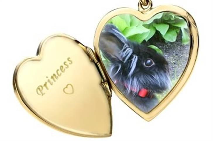 Hjerte billeder til andre ! :D - Princess billede 24