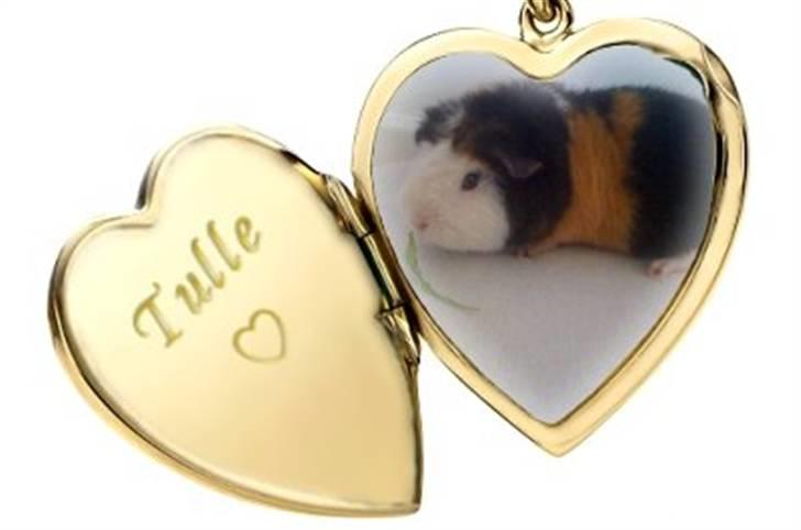 Hjerte billeder til andre ! :D - Tulle til stald cocio billede 25