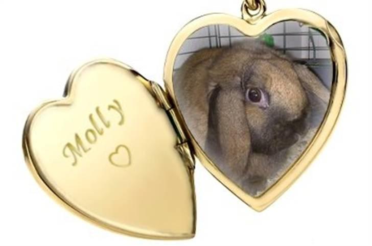 Hjerte billeder til andre ! :D - Molly til Malou Bundgaard billede 27