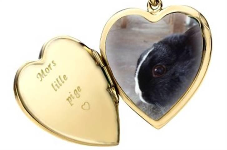 Hjerte billeder til andre ! :D - Plys til plys jeg elsker dig billede 28