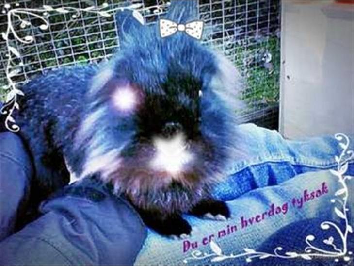 {{currentPhoto.altText}} billede {{currentPhoto.number}}