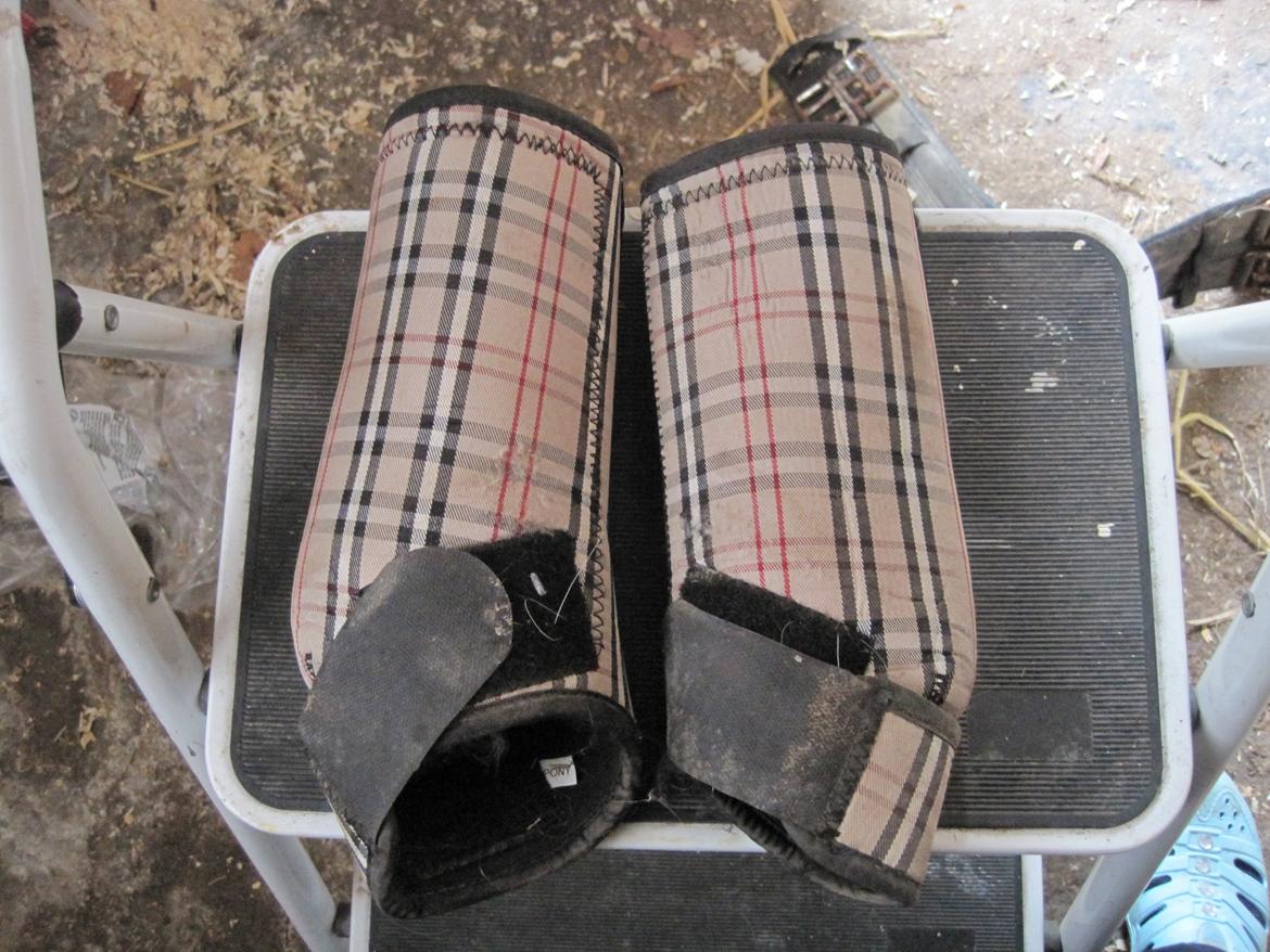 Rideudstyr til salg. - samme igen sælges for 100 kr. billede 6