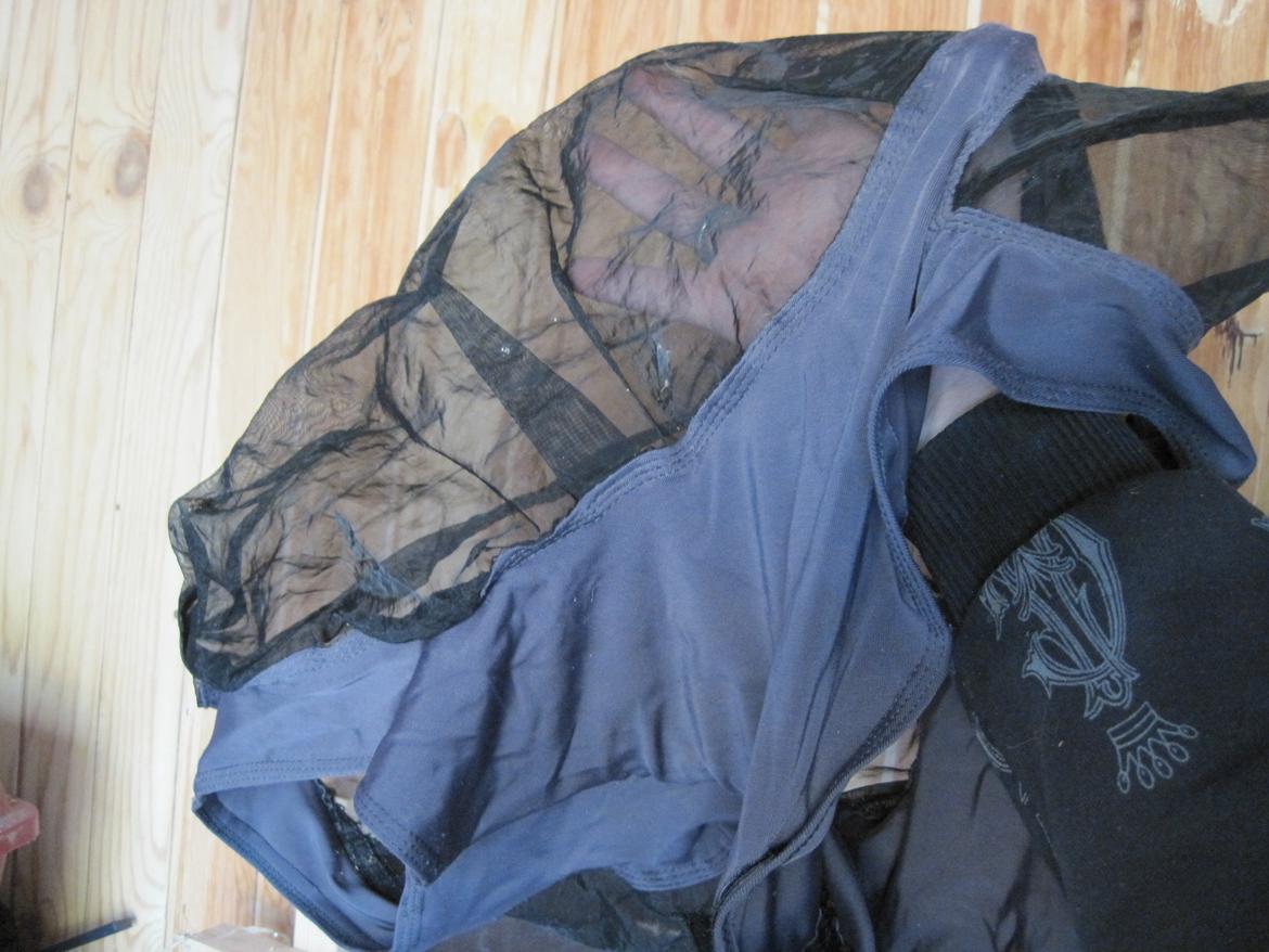 Rideudstyr til salg. - 40 kr. Har 3. alle 3 for 100 kr. billede 8