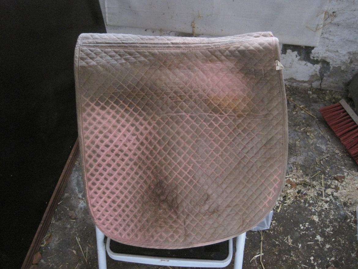 Rideudstyr til salg. - under  billede 15