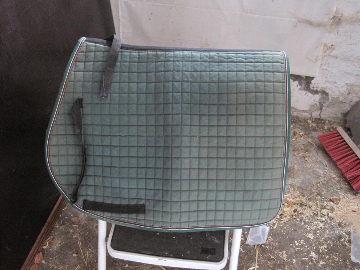 Rideudstyr til salg. - Meget grønnere end på billedet. 17" kombi. 60 kr. billede 16