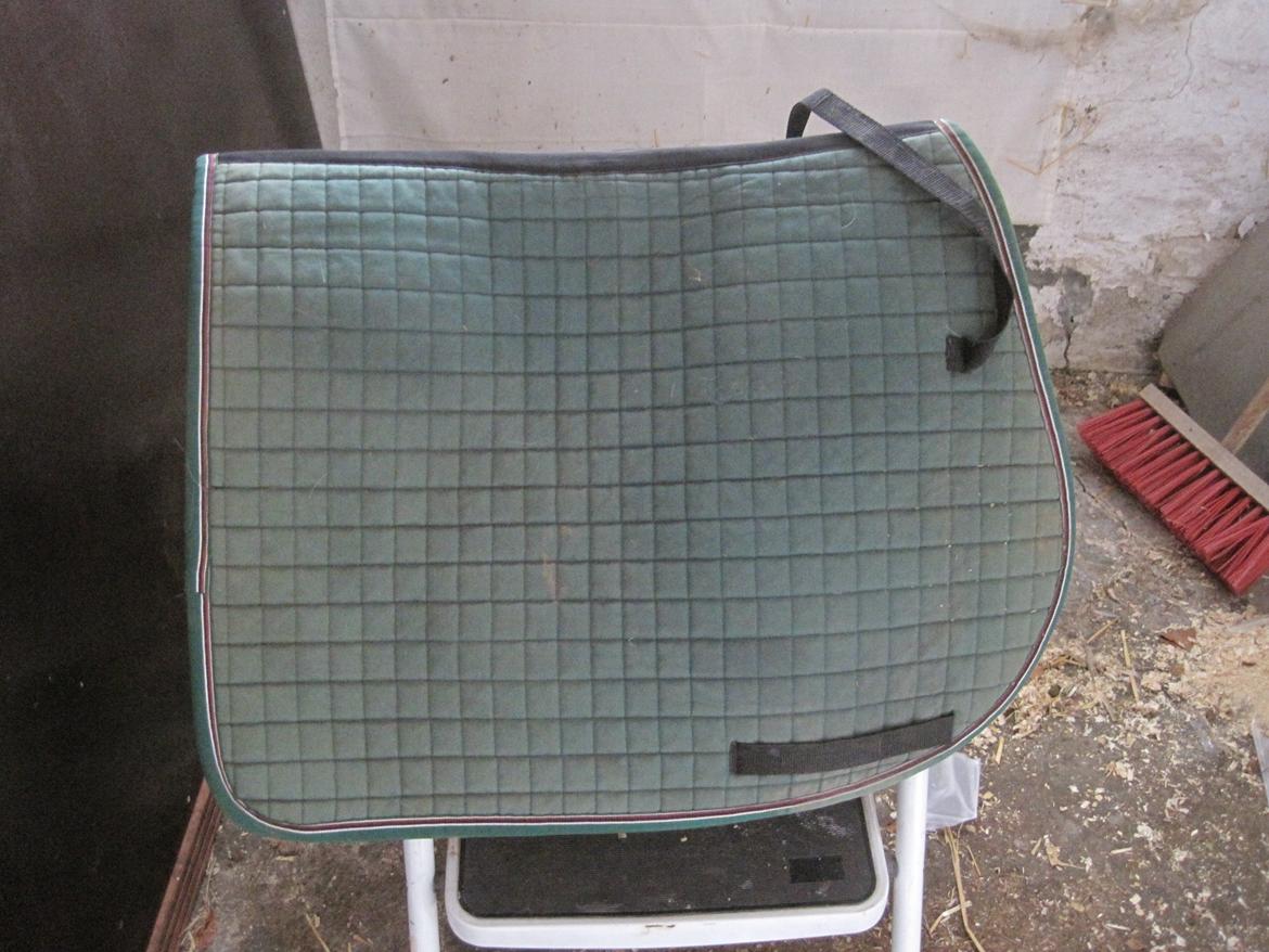 Rideudstyr til salg. - samme billede 17