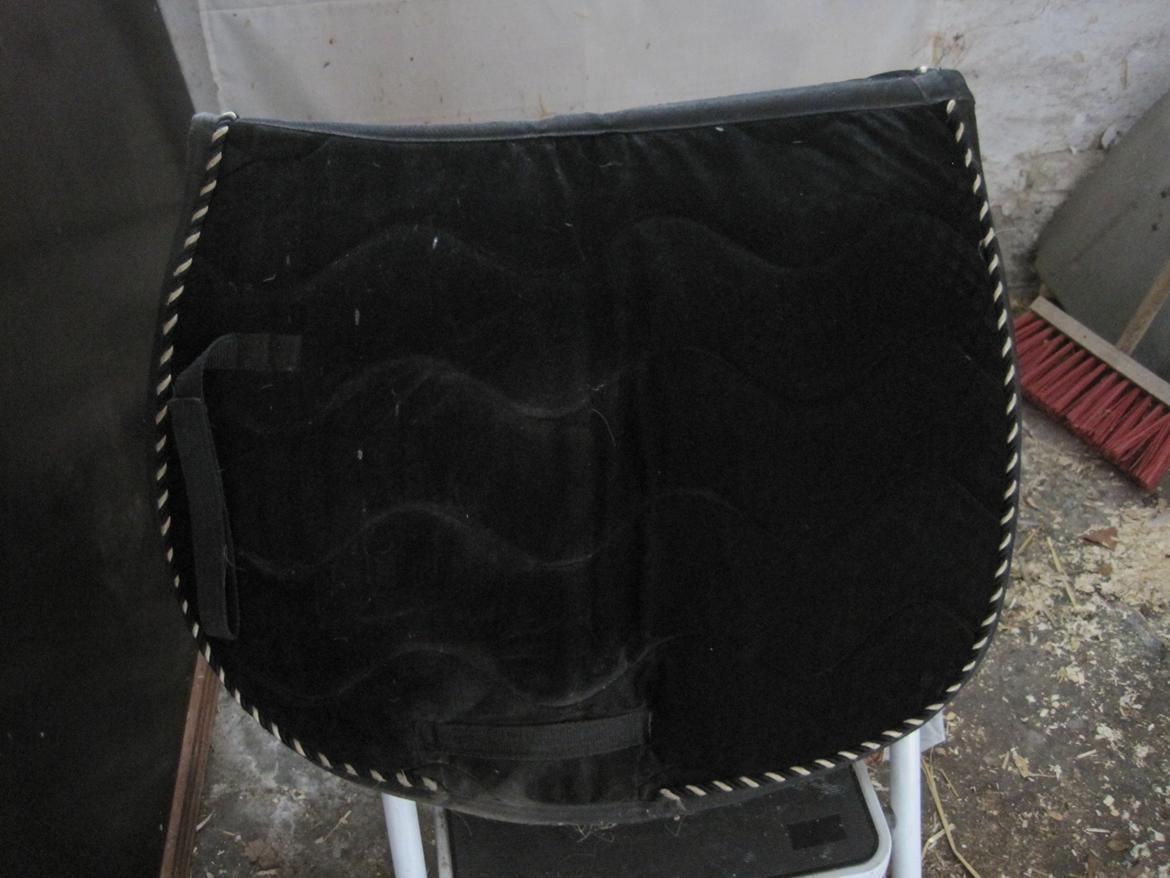 Rideudstyr til salg. - 100 kr. billede 19