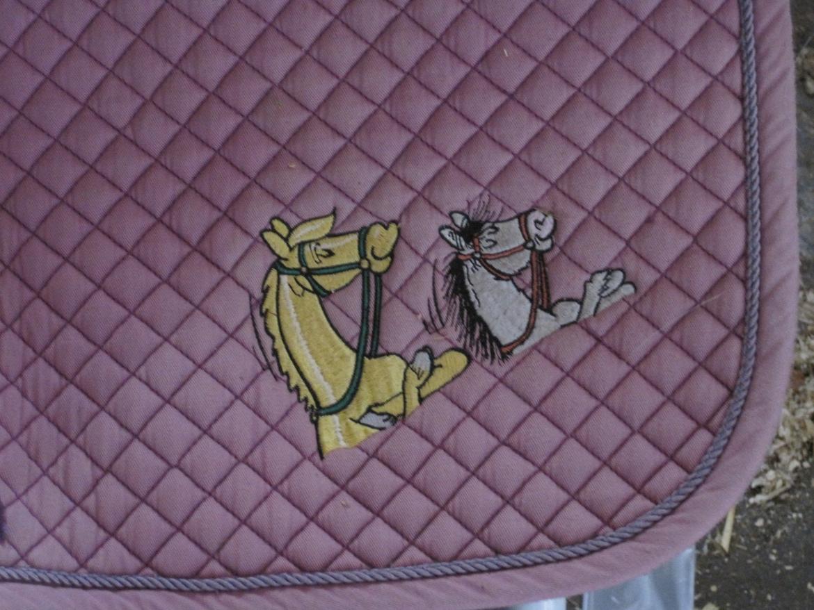 Rideudstyr til salg. - motiv billede 21