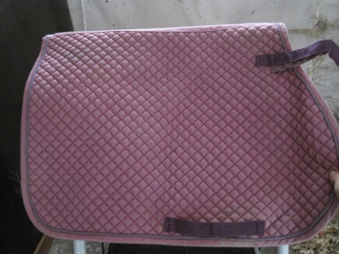 Rideudstyr til salg. - samme billede 22