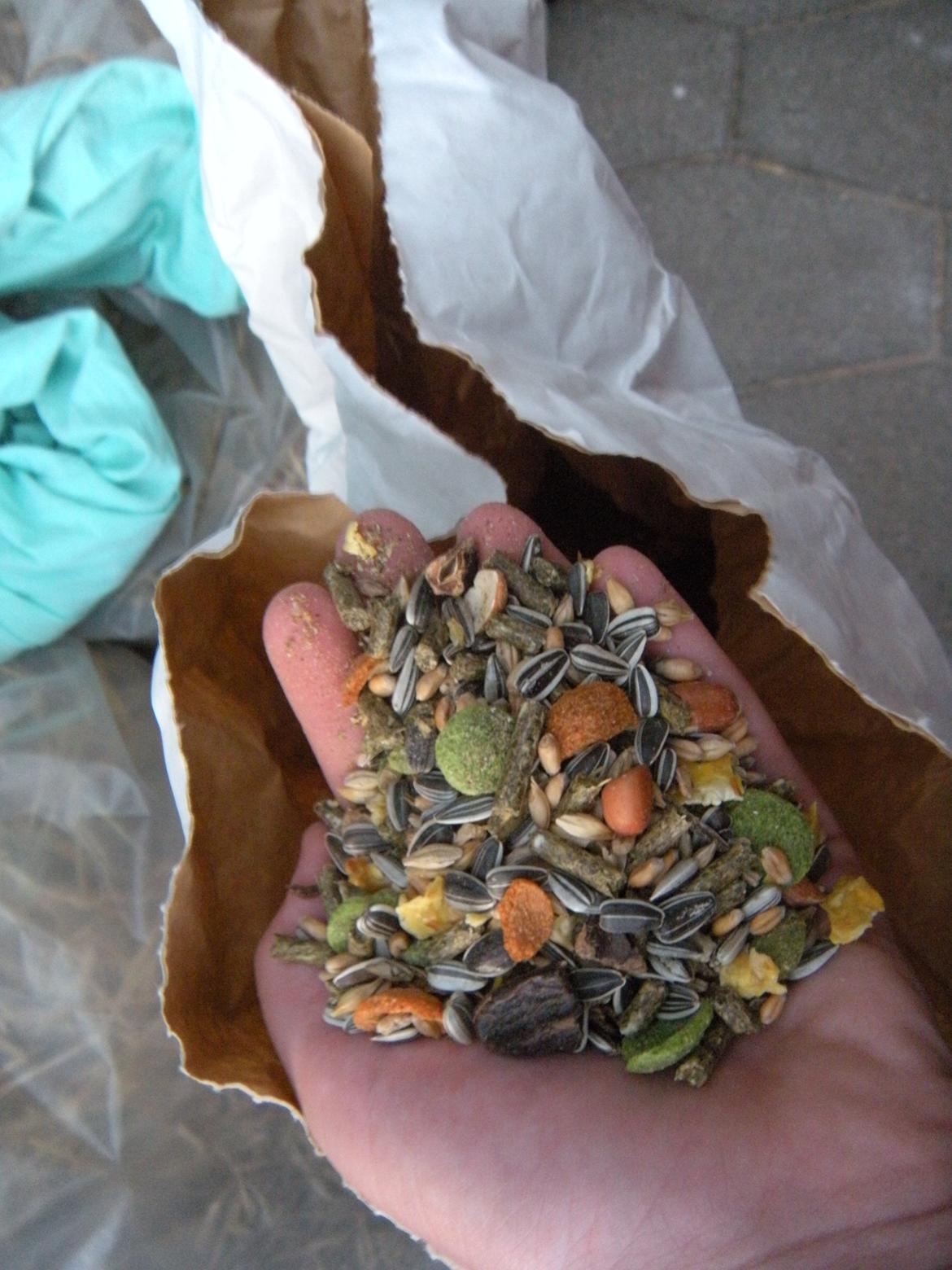 min "stald" //et kig vær// - møllegårdens sally og charlie og b´ernes nye mad billede 3