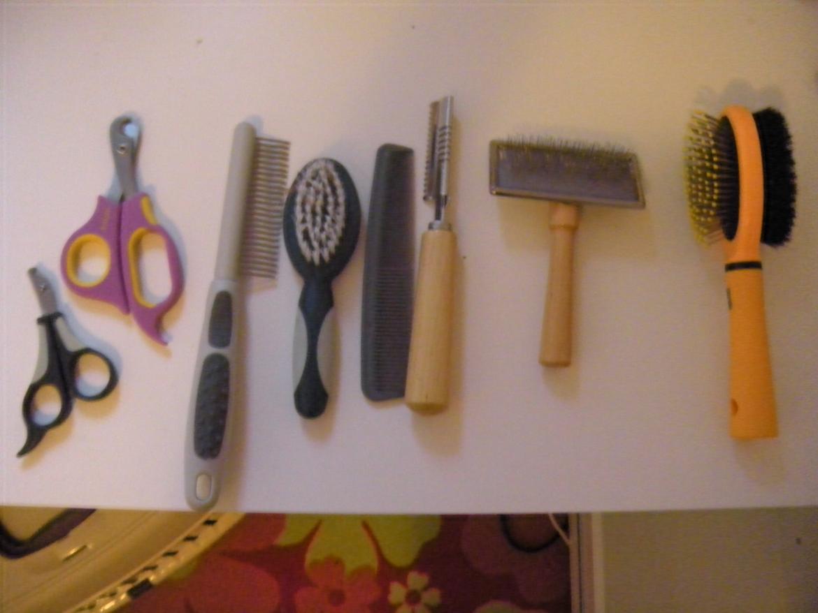 min "stald" //et kig vær// - børster og neglesakse billede 5