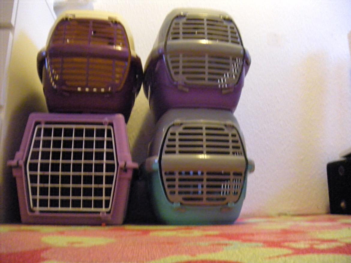 min "stald" //et kig vær// - transportkasser igen igen billede 8