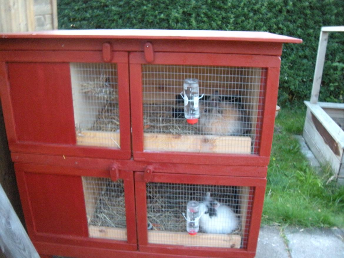 min "stald" //et kig vær// - pigerne
bunny øverst og 
sally nederst billede 2