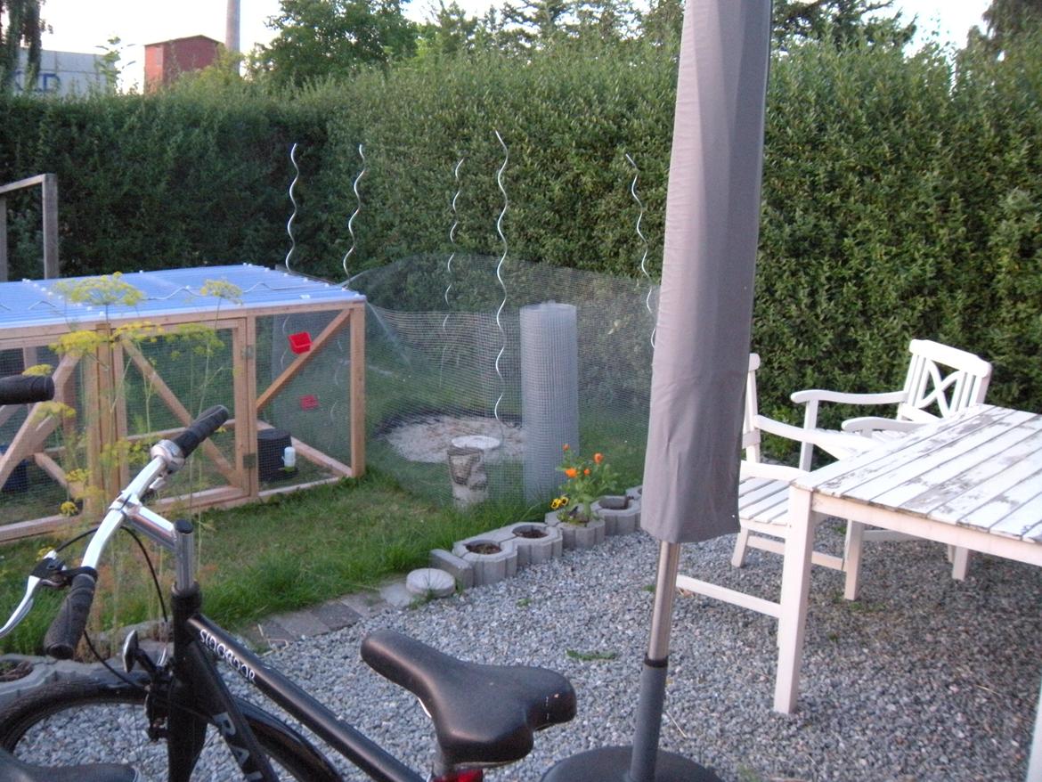 min "stald" //et kig vær// - baghavens løbegårde billede 11