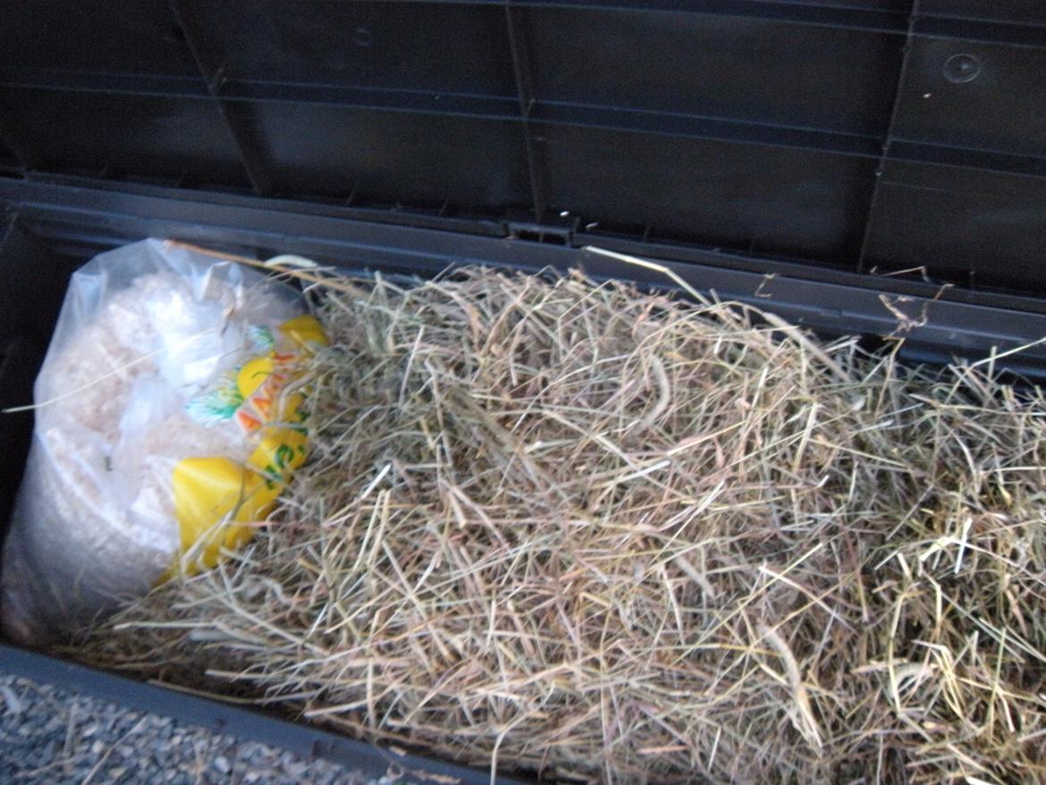 min "stald" //et kig vær// - hø og savsmuld billede 12