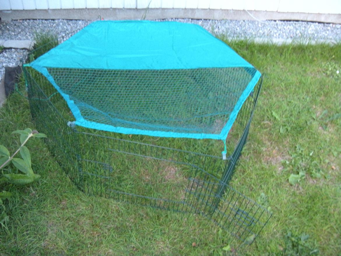 min "stald" //et kig vær// - "babygården" billede 14