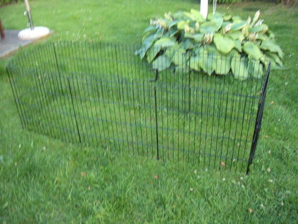 min "stald" //et kig vær// - den store metalgård billede 15