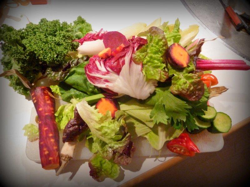 Min grønne vinterfodring (marsvin) billede 35