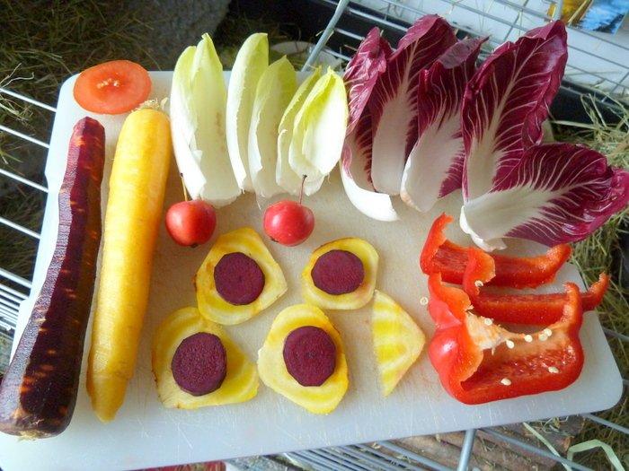 Min grønne vinterfodring (marsvin) billede 38