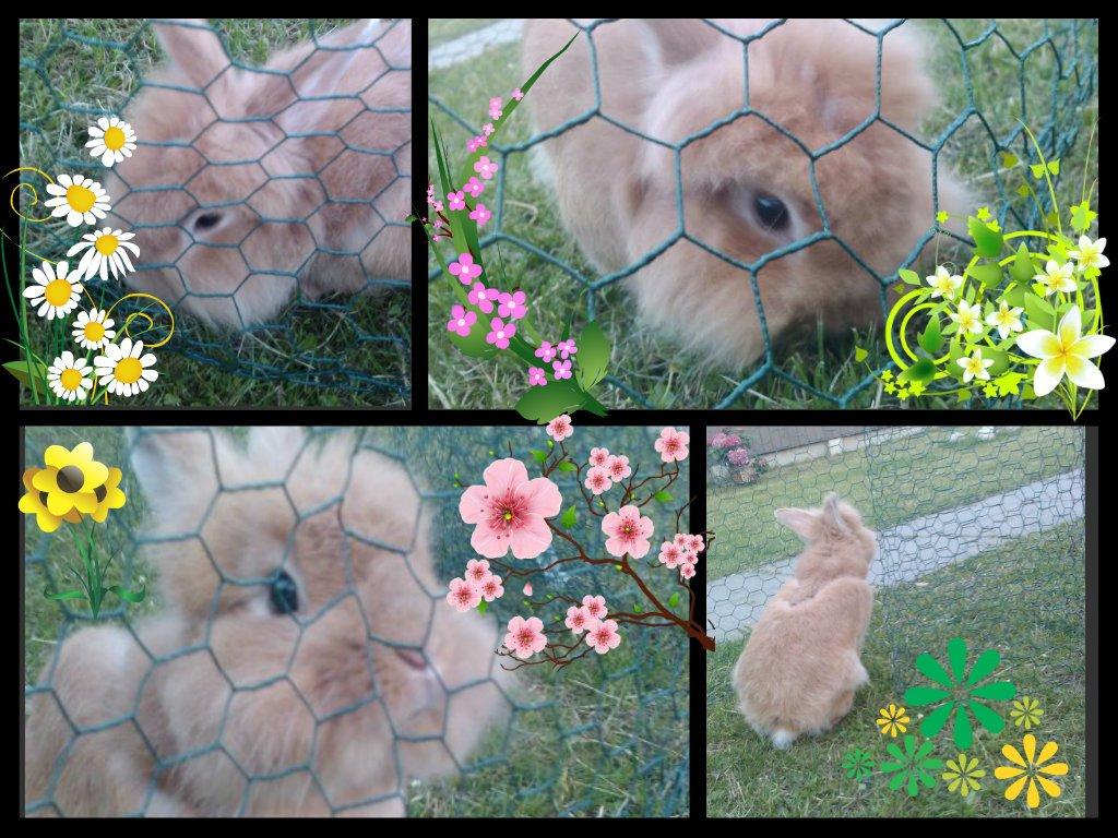 Pjuskes album med skøre/sjove/animerede billeder - Pjuske og mig elsker (og savner) sommer billede 1