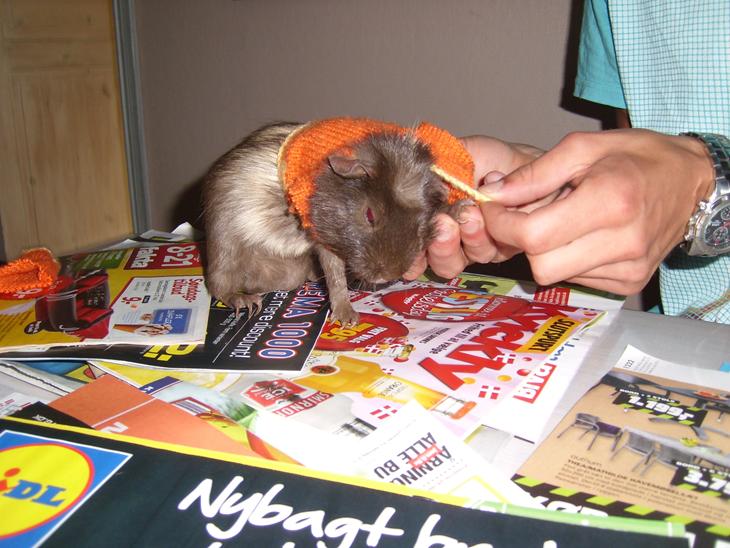 {{currentPhoto.altText}} billede {{currentPhoto.number}}