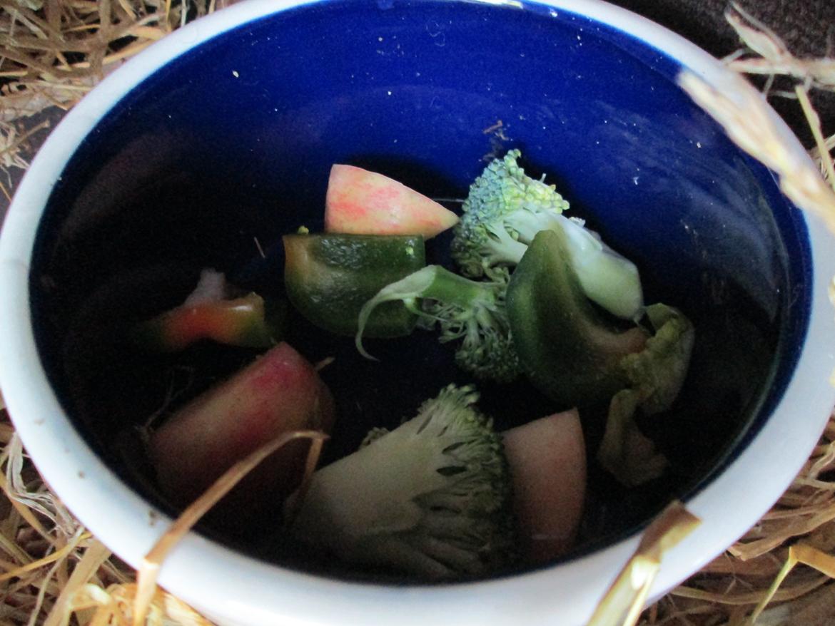 Cookies bur|Kanin voliere - Noget frugt/grønt. billede 13