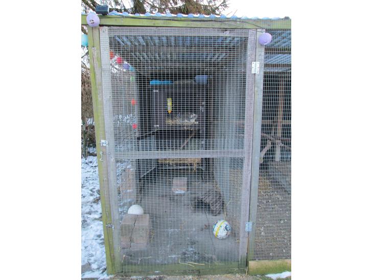 {{currentPhoto.altText}} billede {{currentPhoto.number}}