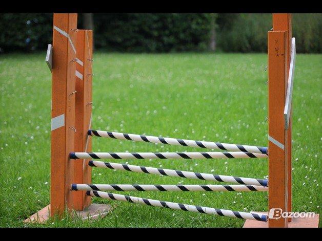 Mine Kanin spring billede 1