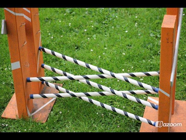 Mine Kanin spring billede 2