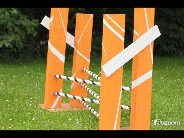 Mine Kanin spring billede 3