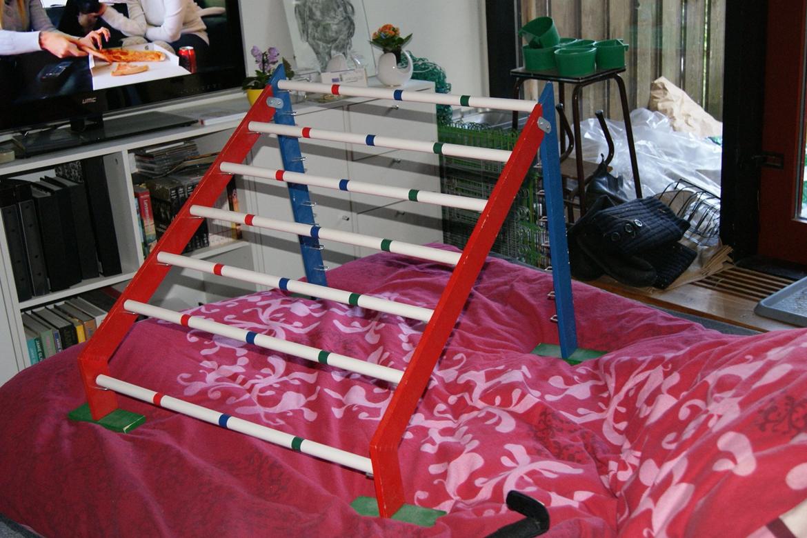 Mine Kanin spring billede 4