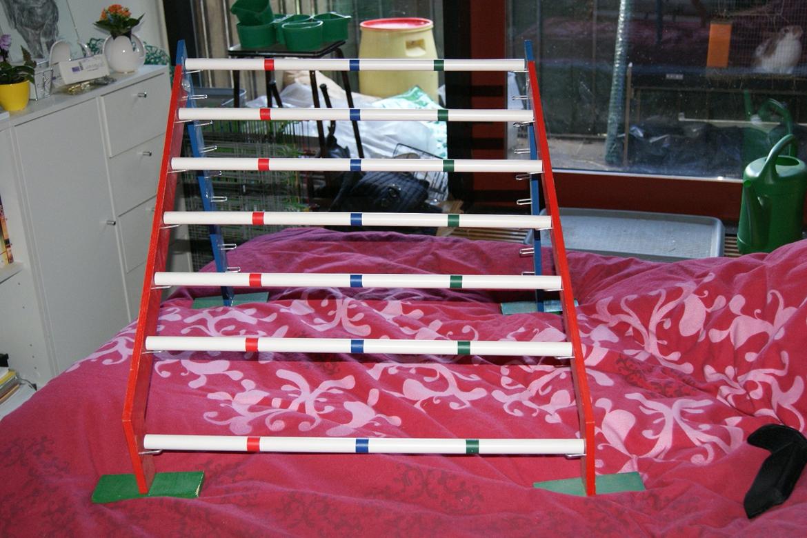 Mine Kanin spring billede 5