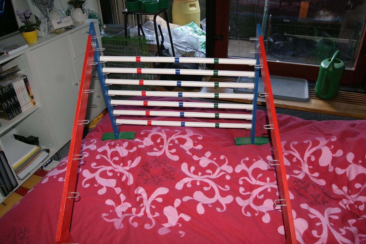 Mine Kanin spring billede 6