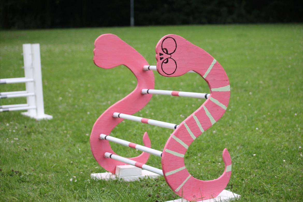 Mine Kanin spring billede 9