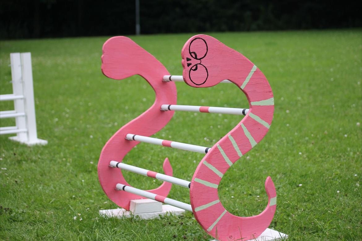 Mine Kanin spring billede 10