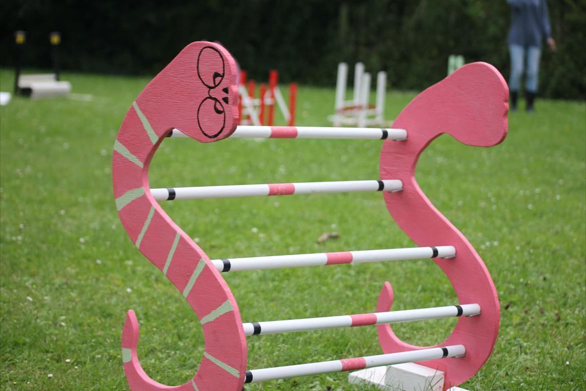 Mine Kanin spring billede 11