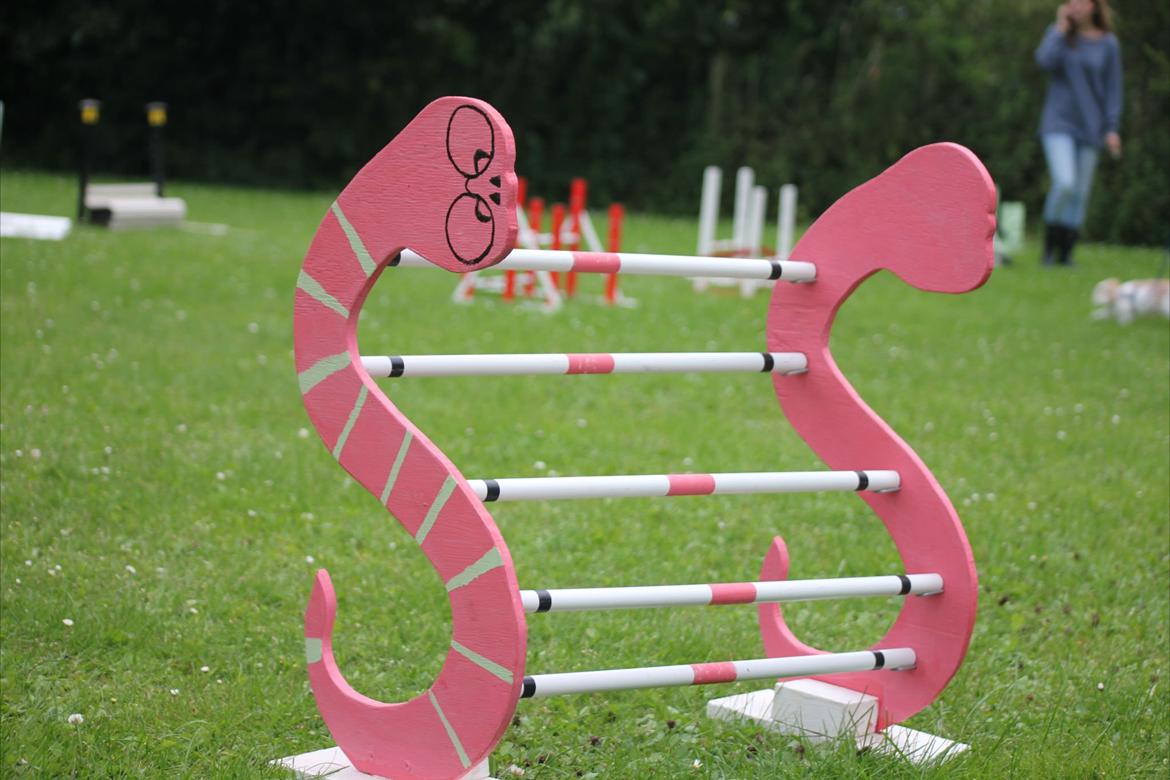 Mine Kanin spring billede 12