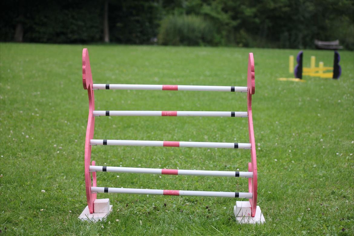 Mine Kanin spring billede 13