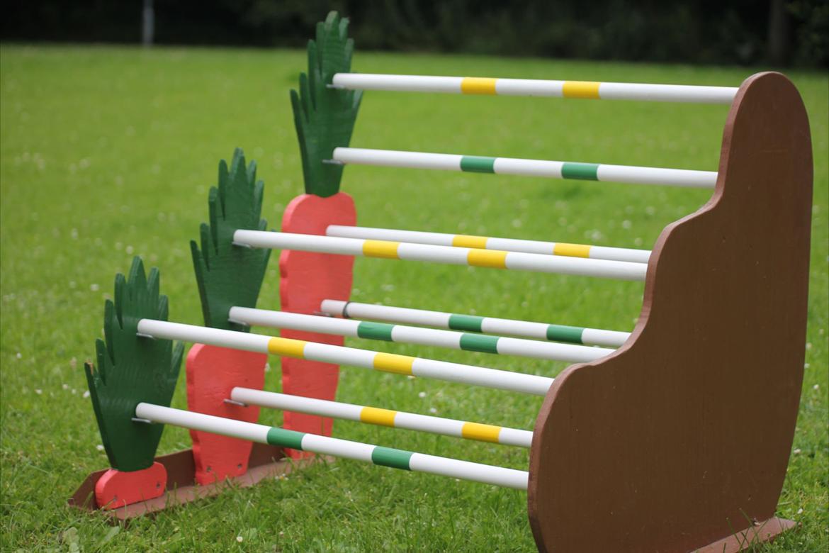 Mine Kanin spring billede 14