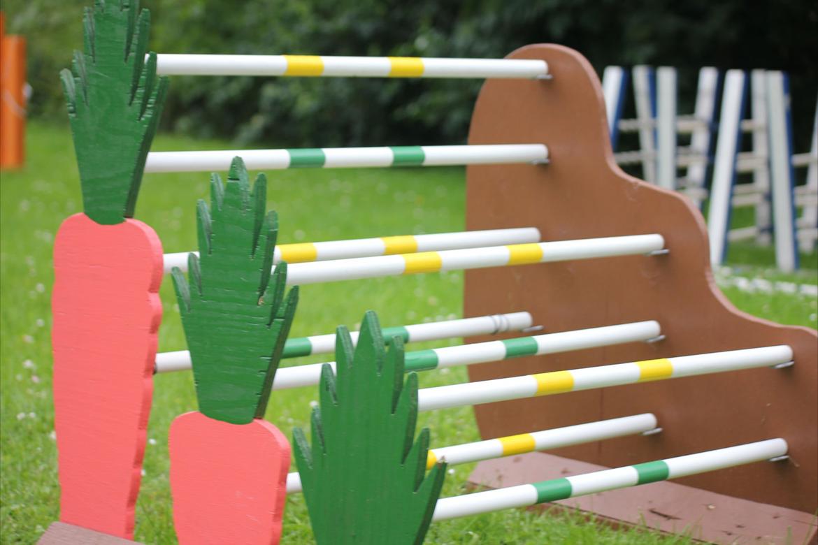 Mine Kanin spring billede 15