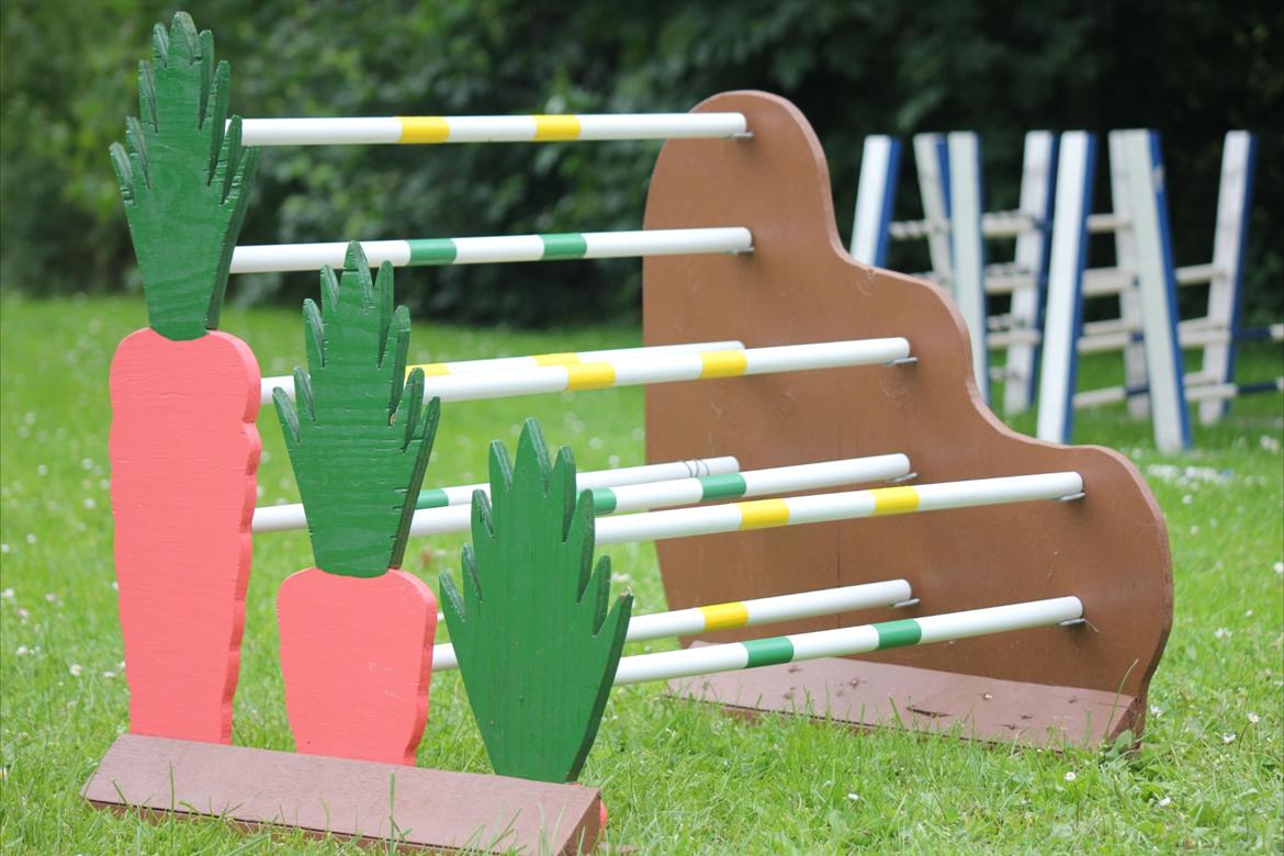 Mine Kanin spring billede 16