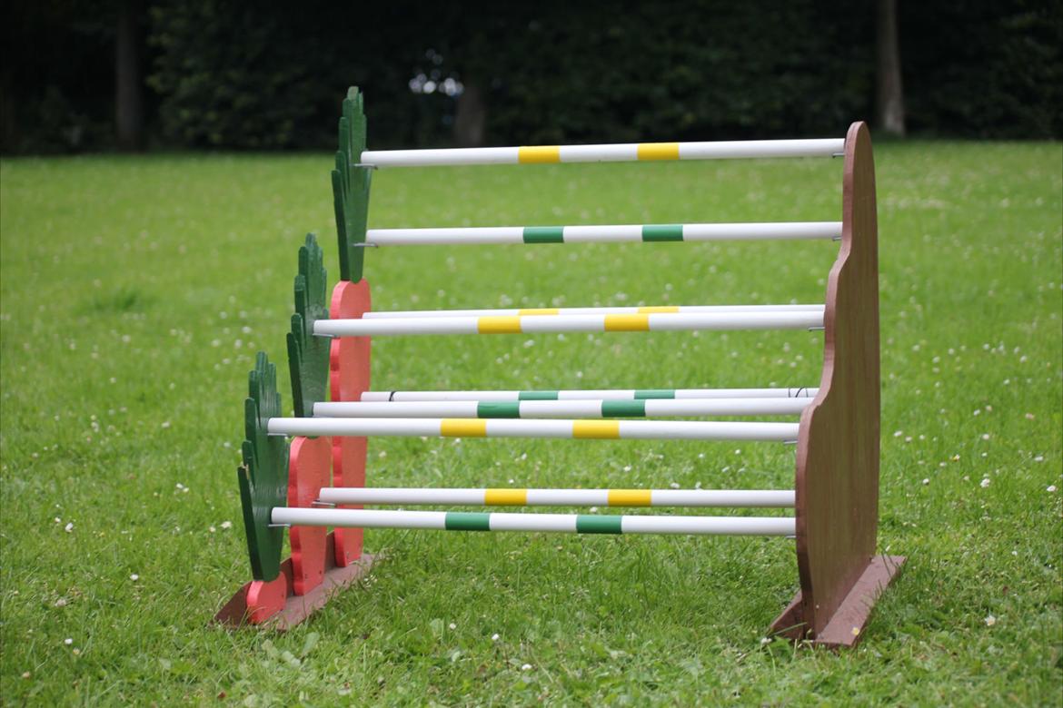 Mine Kanin spring billede 17