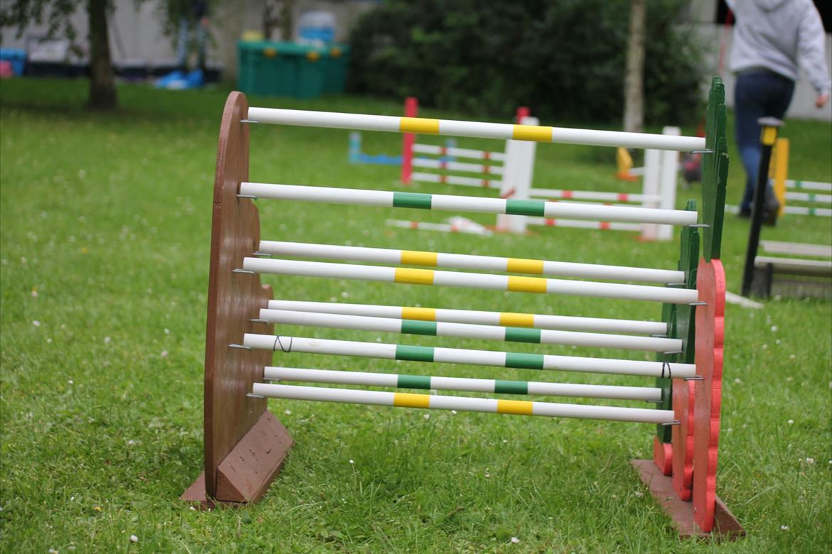 Mine Kanin spring billede 18