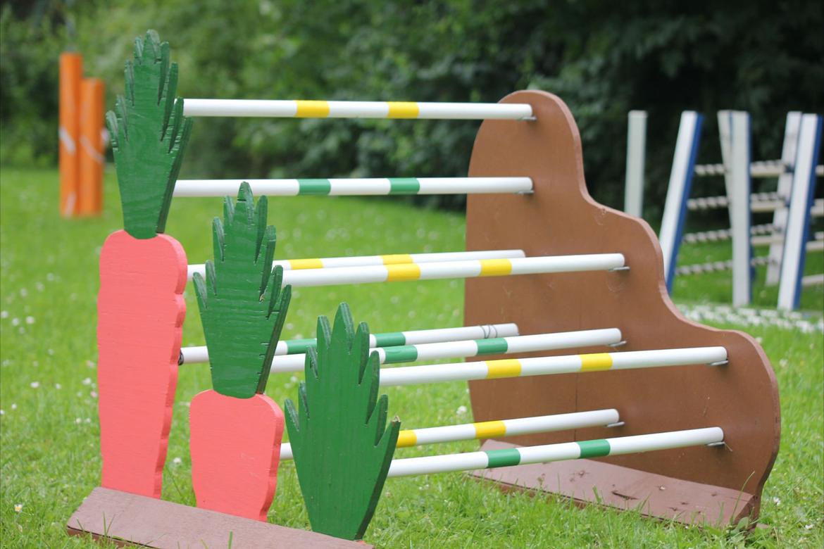 Mine Kanin spring billede 19