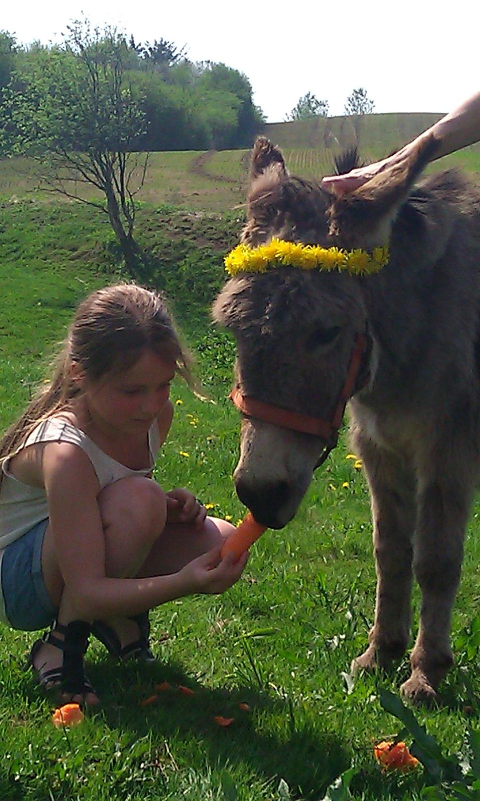 Billeder fra da jeg var oppe og besøge min kusine billede 8