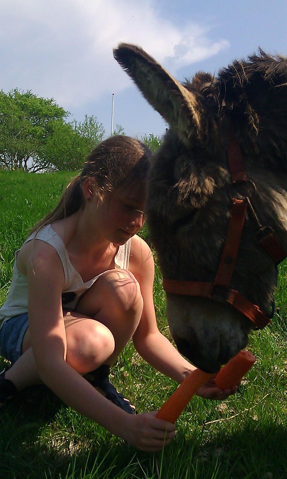 Billeder fra da jeg var oppe og besøge min kusine billede 7