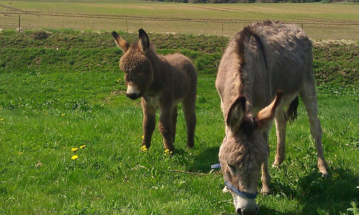 Billeder fra da jeg var oppe og besøge min kusine billede 6