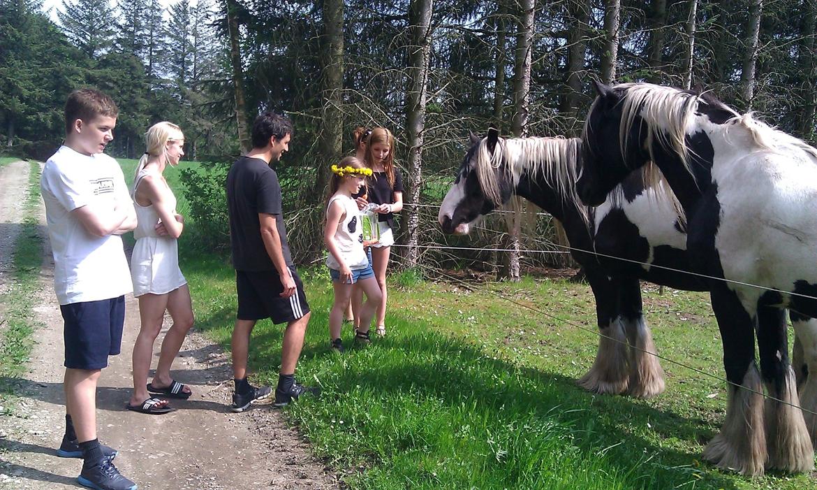 Billeder fra da jeg var oppe og besøge min kusine billede 5